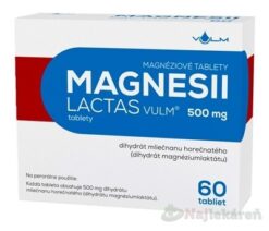 Magnesii Lactas Vulum 500 mg tbl. 60 x 500 mg Vulm www.bohre.sk