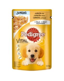 Mars PEDIGREE kapsička dog JUNIOR s kuracím mäsom & ryžou v želé 24 x 100 g Pedigree www.bohre.sk