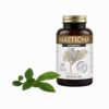 Masticha Terapia Masticha Original – 100 kapsúl Masticha Terapia www.bohre.sk