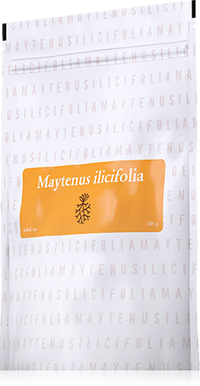 Maytenus Ilicifolia Energy ENERGY www.bohre.sk