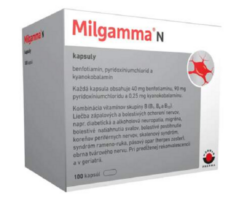 Milgamma N cps. 100 Milgamma www.bohre.sk