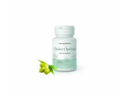 NástrojeZdravia CHOLES Optimal 60 kapsúl NástrojeZdravia www.bohre.sk