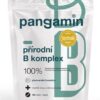 PANGAMIN PRÍRODNÝ B-KOMPLEX 120 ks Pangamin www.bohre.sk