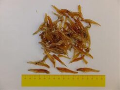 Pamlsok Salač Rybičky sušené 100 g  www.bohre.sk