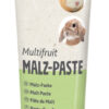 Pasta sladová Multifruit pre hlodavce 100 g TRIXIE www.bohre.sk