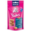 Pochúťka Vitakraft Cat Yums losos 40g VITAKRAFT www.bohre.sk
