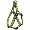 Postroj Active Dog Premium S limetka 1,5x45-63cm ACTIVE DOG www.bohre.sk