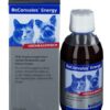 ReConvales Energy perorálny roztok na rekonvalescenciu pre psy a mačky 180ml Alfavet www.bohre.sk