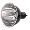 Repti Planet Dome Lamp 14 cm REPTI PLANET www.bohre.sk