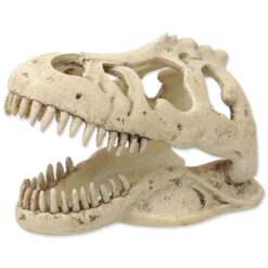 Repti Planet T-Rex lebka 13,3 cm REPTI PLANET www.bohre.sk