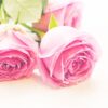 Rose of Bulgaria Glycerínové mydlo Ružový kvet štvorec Biofresh 70 g Rose of Bulgaria www.bohre.sk
