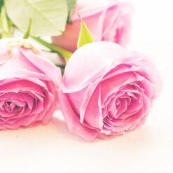Rose of Bulgaria Glycerínové mydlo Ružový kvet štvorec Biofresh 70 g Rose of Bulgaria www.bohre.sk