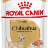 Royal Canin Adult Chihuahua 12 x 85 g Royal Canin www.bohre.sk