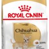 Royal Canin BHN CHIHUAHUA ADULT granule pre dospelé čivavy 500g Royal Canin www.bohre.sk