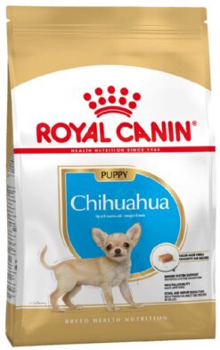 Royal Canin BHN CHIHUAHUA PUPPY granule pre šteňatá čivavy 500g Royal Canin www.bohre.sk