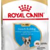 Royal Canin BHN FRENCH BULLDOG PUPPY granule pre šteňatá francúzskeho buldočka 3kg Royal Canin www.bohre.sk