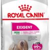 Royal Canin CCN Mini Exigent granule pre dospelých výberavých psov malých plemien 3kg Royal Canin www.bohre.sk