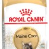 Royal Canin FBN MAINE COON granule pre mainské mývalie mačky 400g Royal Canin www.bohre.sk