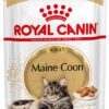 Royal Canin FBN WET MAINECOON kapsičky pre mainske mývalie mačky 12 x 85g Royal Canin www.bohre.sk