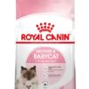 Royal Canin FHN BABYCAT granule pre gravidné mačky a mačiatka 2kg Royal Canin www.bohre.sk