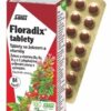 SALUS Floradix 84 tabliet Floradix www.bohre.sk