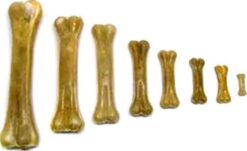 Salač Kosť prírodná 12 cm 13 cm 10 ks Salač www.bohre.sk