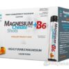 Salutem Pharma MAGNESIUM Chelate + B6 orange SALUTEM 10 x 25 ml Salutem Pharma s.r.o. www.bohre.sk