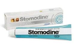 Stomodine gel na ústnu hygienu pre psy a mačky 30 ml ICF www.bohre.sk
