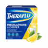 THERAFLU Prechladnutie a chrípka horúci nápoj 10 ks THERAFLU www.bohre.sk