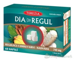 Terezia Company DIAREGUL 60 kapsúl Terezia Company www.bohre.sk