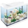 Tetra Starter Line LED akvarijný set biely 80 l TETRA www.bohre.sk