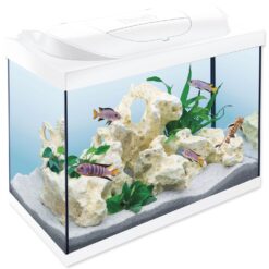 Tetra Starter Line LED akvarijný set biely 80 l TETRA www.bohre.sk