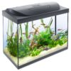 Tetra Starter Line LED akvarijný set čierny 80 l TETRA www.bohre.sk
