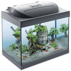 Tetra Starter Shrimp Line LED akvarijný set 44 x 37 x 30 cm, 30 l TETRA www.bohre.sk