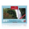 TianDE Fytonáplasť Yaoshen Forte 2 ks TianDe www.bohre.sk
