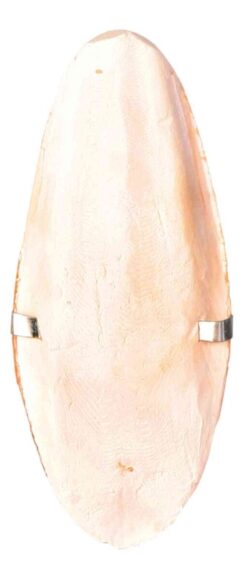 Trixie sépiová kosť s držiakom 12 cm TRIXIE www.bohre.sk
