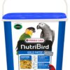 Versela Laga Orlux NutriBird Gold Patee Big Parakeets & Parrots vaječné krmivo 5kg VERSELE LAGA www.bohre.sk