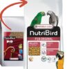 Versele Laga NutriBird P19 Original - pre veľkých papagájov 10kg VERSELE LAGA www.bohre.sk