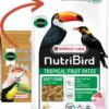 Versele Laga Orlux NutriBird Tropical Patee Premium - kompletná kŕmna zmes pre ovocnomilné druhy 1kg VERSELE LAGA www.bohre.sk