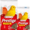Versele Laga Prestige Canaries - univerzálna zmes pre kanáriky 1kg VERSELE LAGA www.bohre.sk