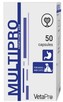 VetaPro Multipro výživový doplnok pre psy a mačky s narušenou črevnou rovnováhou 50cps VetaPro www.bohre.sk