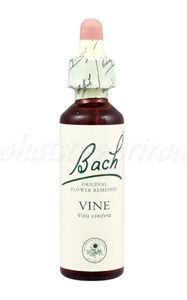 Vine - Vínna réva 20 ml - bachove kvapky A. Nelson&Co.Ltd www.bohre.sk
