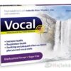 Vocal Pastilky bez cukru s příchutí Černý ryb.24ks  www.bohre.sk