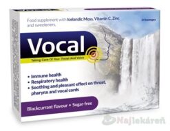 Vocal Pastilky bez cukru s příchutí Černý ryb.24ks  www.bohre.sk