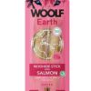 Woolf Earth Noohide Sticks with Salmon L 85 g Woolf www.bohre.sk